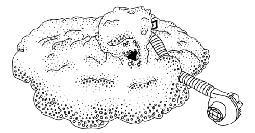 Drum Foam Machine