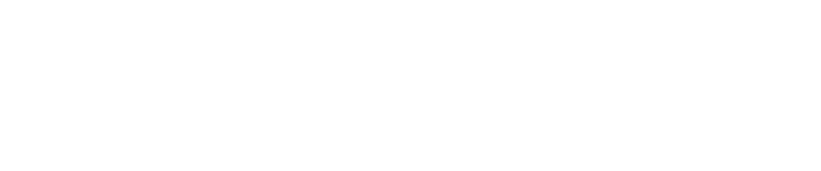 North Logo